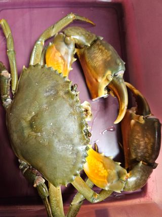 땅끝해남님의 자유주제 · 사진전 작성글 사진