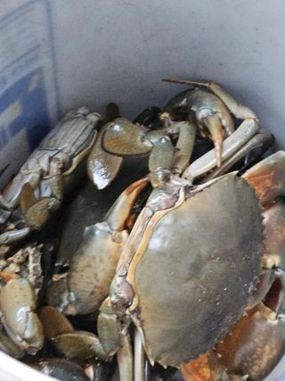 땅끝해남님의 자유주제 · 사진전 작성글 사진