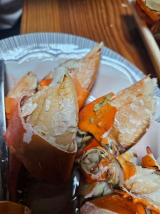 땅끝해남님의 자유주제 · 사진전 작성글 사진