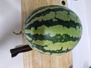 낙엽교목류21691님의 자유주제 · 자유게시판 작성글 사진