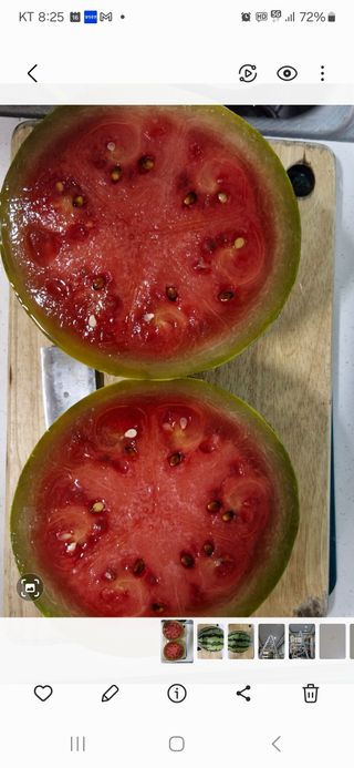 낙엽교목류21691님의 자유주제 · 자유게시판 작성글 사진