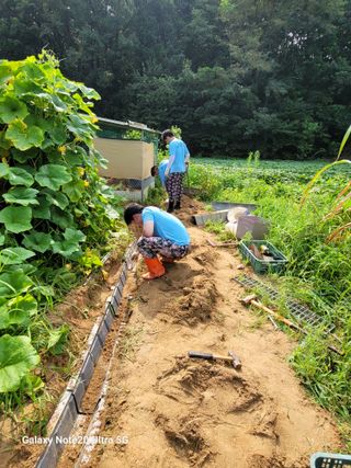 김용민님의 👍팜이웃 칭찬해요! · 참여글 작성글 사진