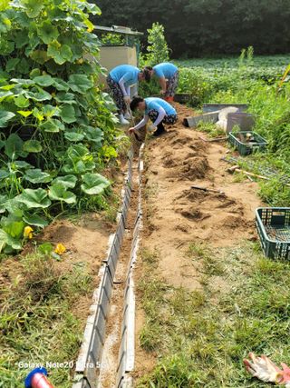 김용민님의 👍팜이웃 칭찬해요! · 참여글 작성글 사진