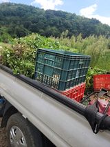 팜모닝 기타작물·영농일지 게시글 이미지