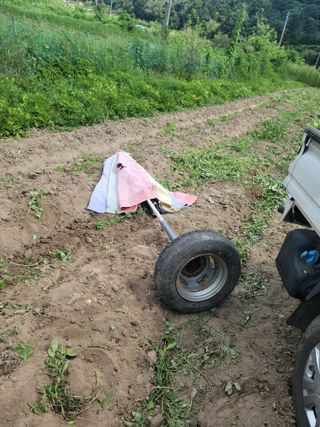 다소농원님의 기타작물 · 영농일지 작성글 사진