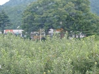 알 수 없음님의 👍팜이웃 칭찬해요! · 참여글 작성글 사진