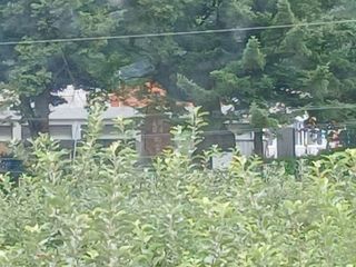 알 수 없음님의 👍팜이웃 칭찬해요! · 참여글 작성글 사진