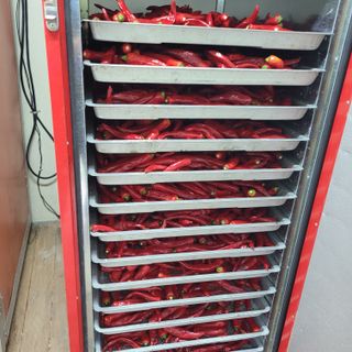 김선순(공룡자색마)님의 작성글 사진