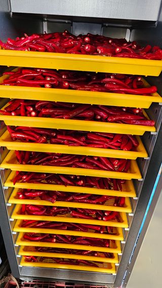 홍두표 님의 자유주제 · 자유게시판 작성글 사진