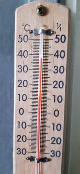 팜모닝 자유주제·자유게시판 게시글 이미지