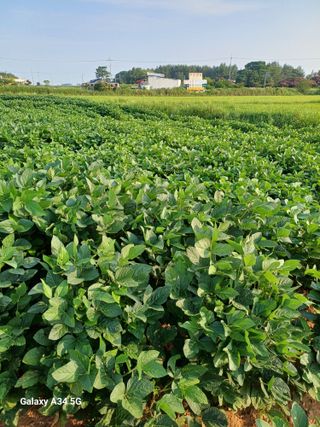홍순오님의 👍팜이웃 칭찬해요! · 참여글 작성글 사진