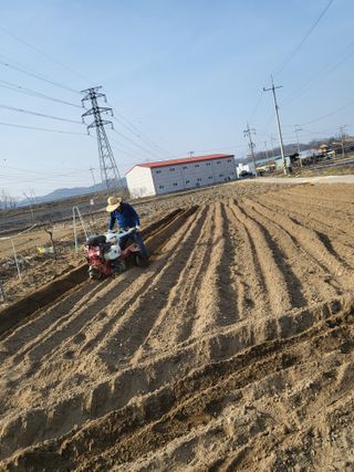 박순례님의 👍팜이웃 칭찬해요! · 참여글 작성글 사진