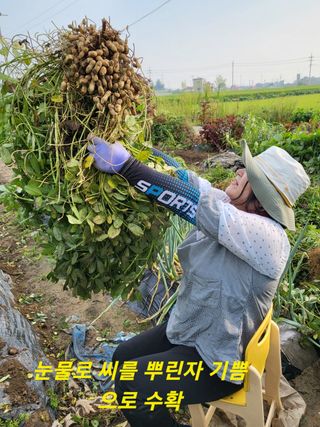 박순례님의 👍팜이웃 칭찬해요! · 참여글 작성글 사진