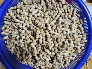 박순례님의 👍팜이웃 칭찬해요! · 참여글 작성글 사진