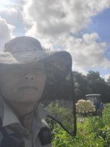 팜모닝 고추·영농일지 게시글 이미지