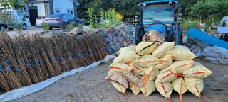 영덕 축산 김일규님의 고추 · 영농일지 작성글 사진