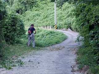 (힐링따오기쉼터)님의 기타작물 · 영농일지 작성글 사진