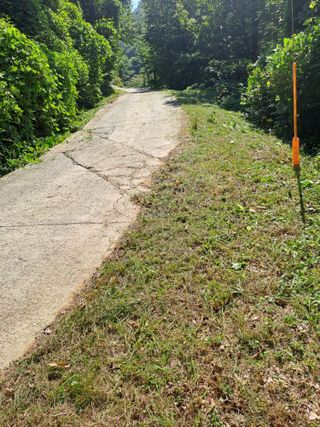 (힐링따오기쉼터)님의 기타작물 · 영농일지 작성글 사진