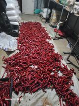 팜모닝 고추·영농일지 게시글 이미지