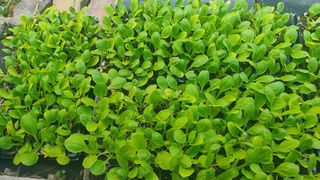 슈퍼맨님의 자유주제 · 자유게시판 작성글 사진