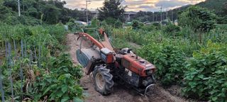 차동근님의 자유주제 · 자유게시판 작성글 사진