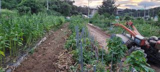 차동근님의 자유주제 · 자유게시판 작성글 사진