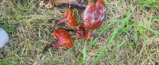 장기수님의 자유주제 · 자유게시판 작성글 사진