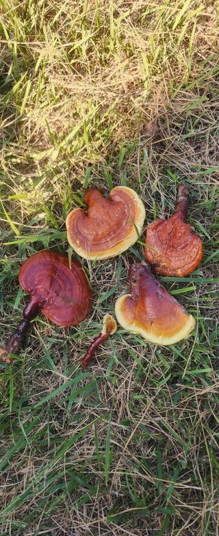 장기수님의 자유주제 · 자유게시판 작성글 사진