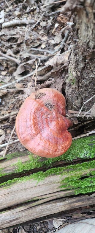 장기수님의 자유주제 · 자유게시판 작성글 사진