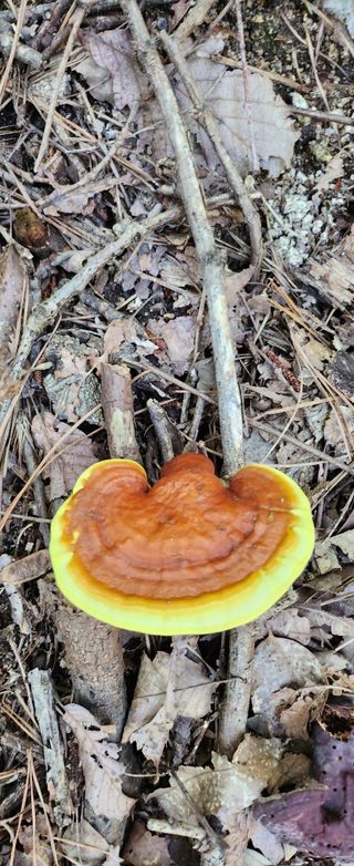 장기수님의 자유주제 · 자유게시판 작성글 사진