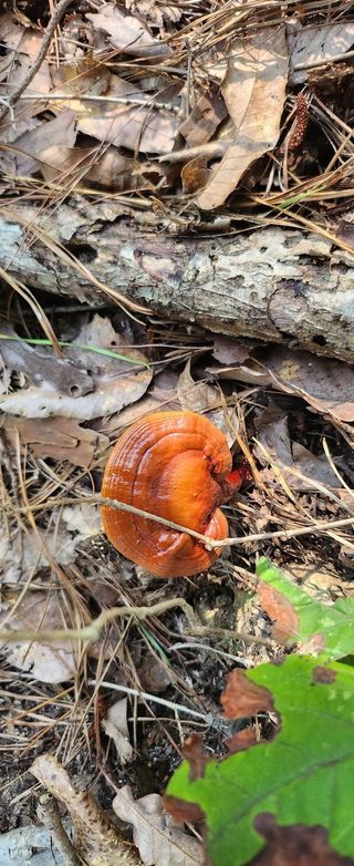 장기수님의 자유주제 · 자유게시판 작성글 사진