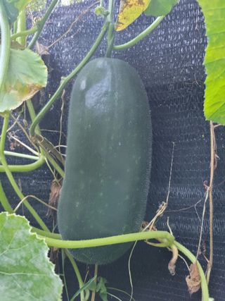 박기식 님의 자유주제 · 자유게시판 작성글 사진