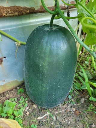 박기식 님의 자유주제 · 자유게시판 작성글 사진