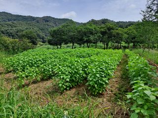 박은석님의 팜모닝 · 출석 작성글 사진