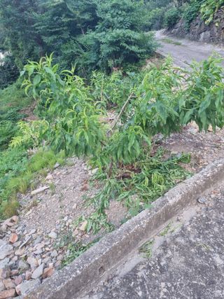 김용대님의 자유주제 · 자유게시판 작성글 사진