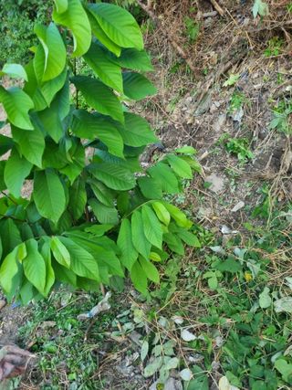 김용대님의 자유주제 · 자유게시판 작성글 사진