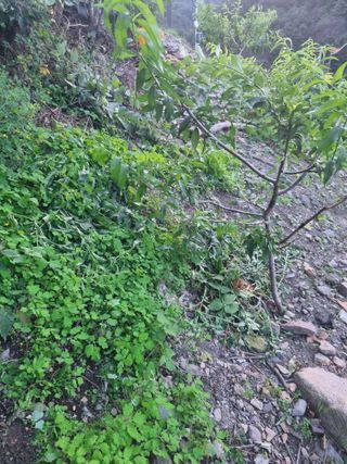 김용대님의 자유주제 · 자유게시판 작성글 사진