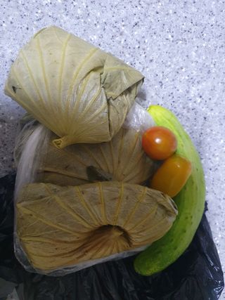 안지댁님의 오이 · 영농일지 작성글 사진