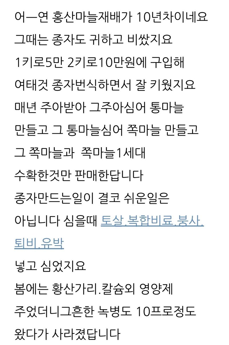 삼성농산님의 장터 판매 상품 [(완료)홍산마늘 주아. 종자용 판매] 첨부 사진