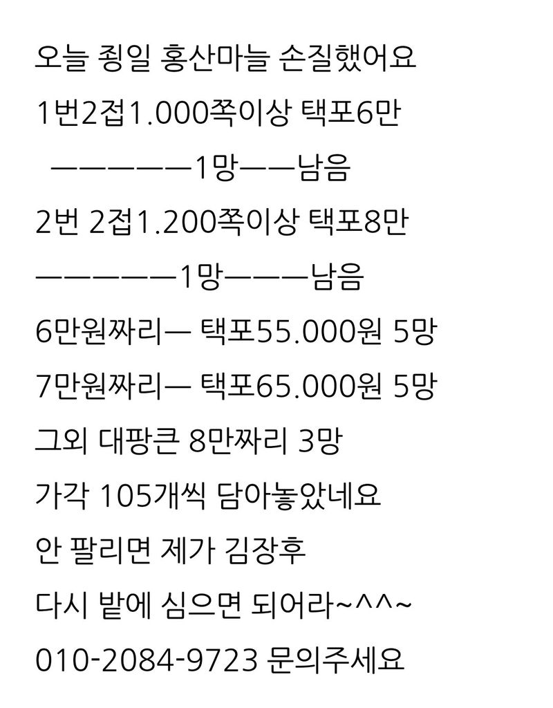 삼성농산님의 장터 판매 상품 [(완료)홍산마늘 주아. 종자용 판매] 첨부 사진