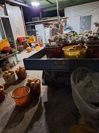 욕심내지말자님의 복숭아 · 자유게시판 작성글 사진