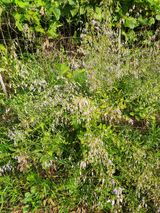 팜모닝 자유주제·사진전 게시글 이미지