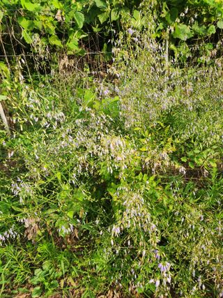 한상경님의 자유주제 · 사진전 작성글 사진