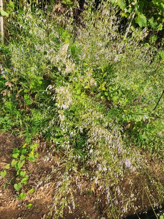 한상경님의 자유주제 · 사진전 작성글 사진