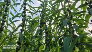 임붕철님의 자유주제 · 자유게시판 작성글 사진