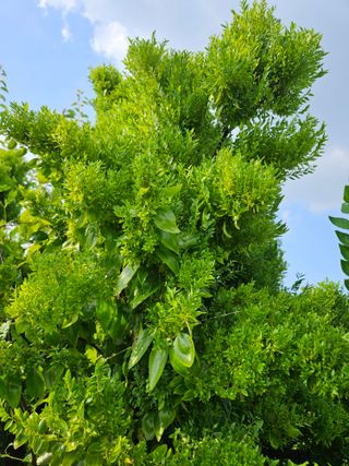 장병규님의 자유주제 · 자유게시판 작성글 사진