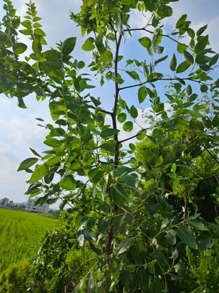 장병규님의 자유주제 · 자유게시판 작성글 사진