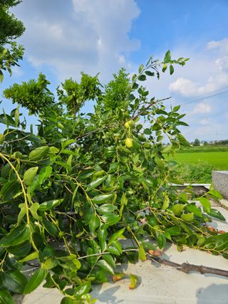 장병규님의 자유주제 · 자유게시판 작성글 사진