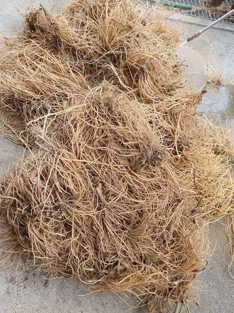 장터 상품 [자연산닭발우슬환 ] 썸네일