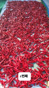 팜모닝 고추·영농일지 게시글 이미지